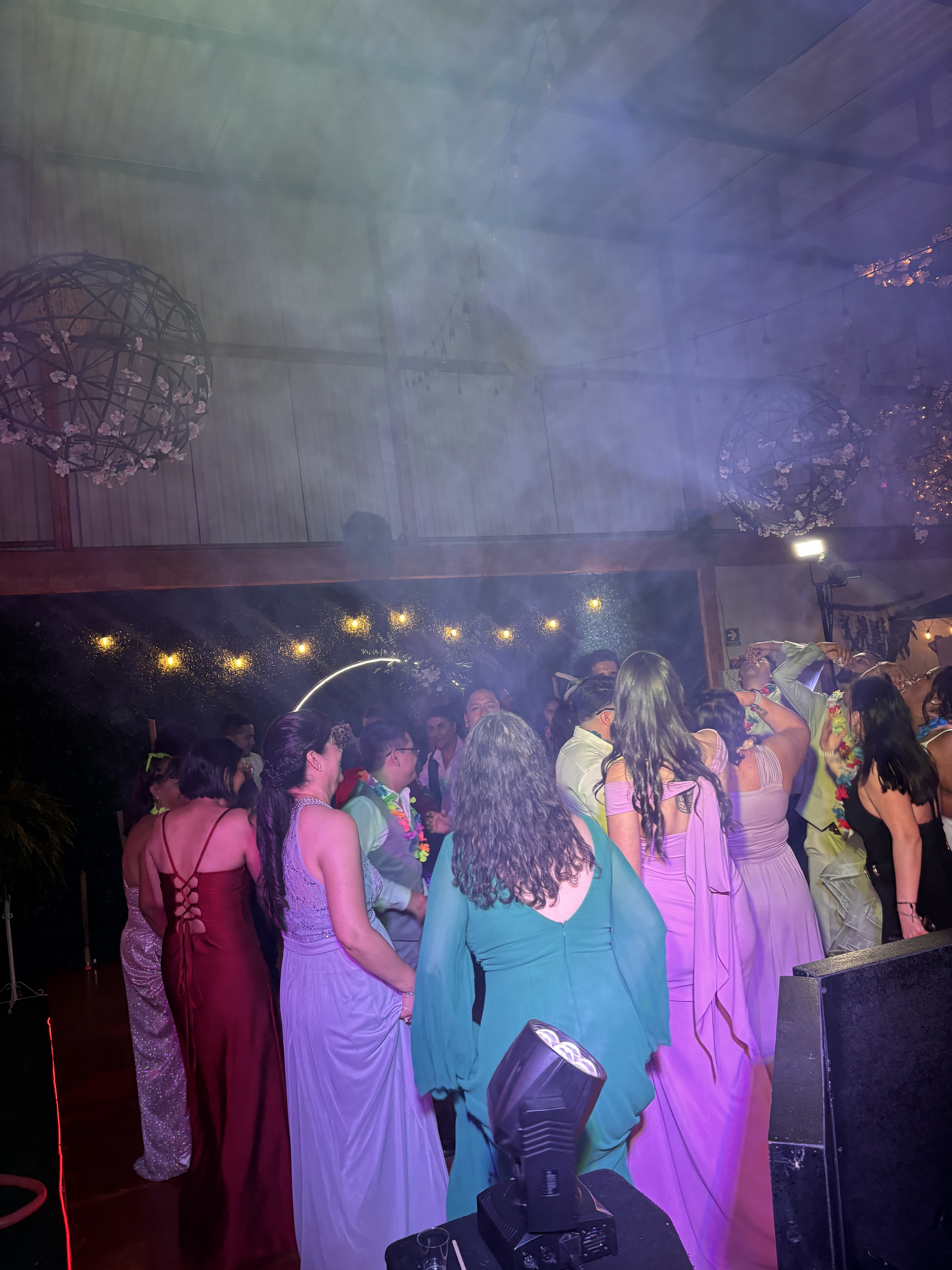 Galería DJ Harry 7